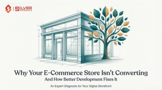 Why Your E-Commerce Store Isn’t Converting