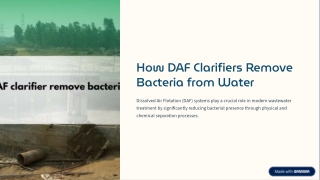 DAF Clarifier: A Simple Way to Clean Wastewater and Water