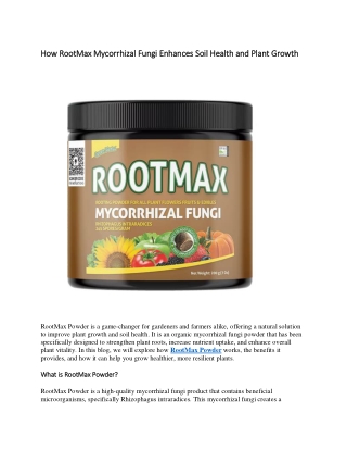 How RootMax Mycorrhizal Fungi Enhances Soil Health and Plant Growth