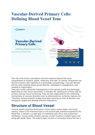 Vascular-Derived Primary Cells: Defining Blood Vessel Tone