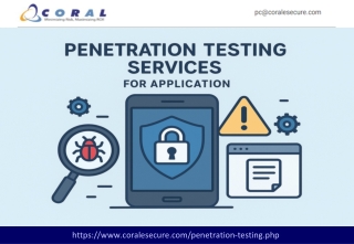 Penetration Testing Services for Application