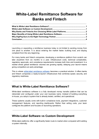 White-Label Remittance Software for Banks and Fintech