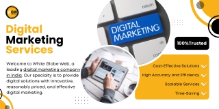 Affordable and High-Impact Digital Marketing Solutions