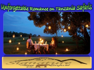 Unforgettable Romance on Tanzania Safaris
