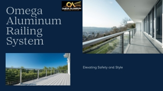 Presentation - Omega Aluminum Railing System (2)