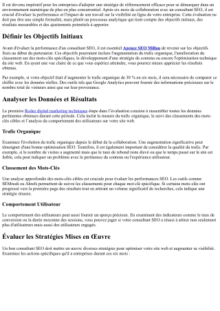 Évaluer la performance globale de son Consultant Seo après 6 mois.