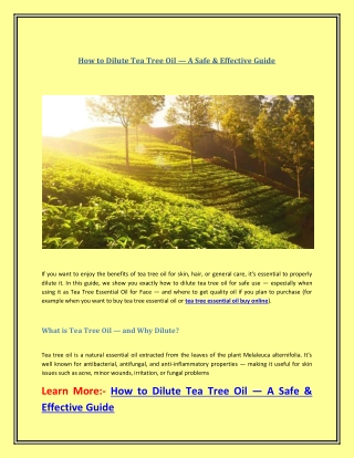 How to Dilute Tea Tree Oil — A Safe & Effective Guide