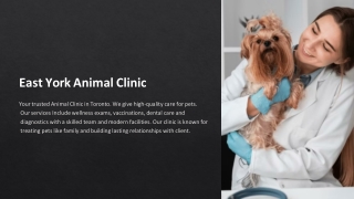 Essential Puppy and Kitten Vaccine Services for Strong Early Protection