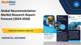 Global Neuromodulation Market