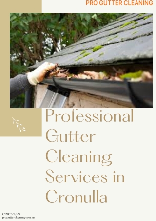 Professional Gutter Cleaning Services in Cronulla