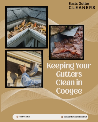 Keeping Your Gutters Clean in Coogee