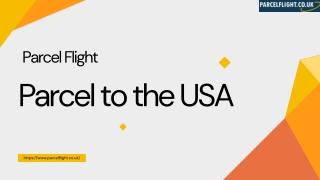 Parcel to the USA - Parcel Flight Courier Services