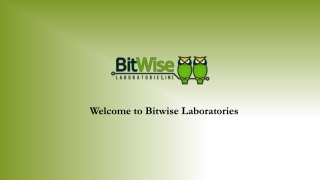 Bit Error Rate Testing for Digital Systems