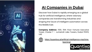 AI Companies in Dubai