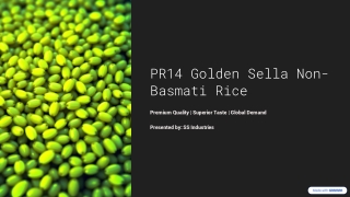 PR14 Golden Sella Non-Basmati Rice: Global Market Overview