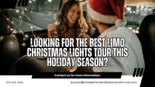 Looking for the Best Limo Christmas Lights Tour This Holiday Season