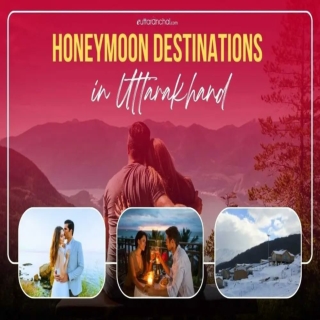 Best Jim Corbett Tours Package & Golden Triangle Tours Packages