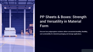 PP-Sheets-and-Boxes-Strength-and-Versatility-in-Material-Form