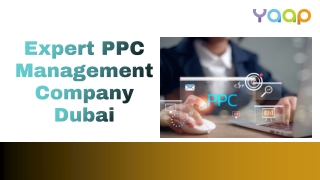 Top PPC Management Agency Dubai for High-ROI Campaigns