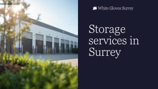Reliable Storage Services in Surrey: Secure, Flexible & Affordable Solutions