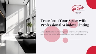 Transform Your Space with Professional Window Tinting