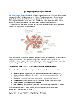 IgA Nephropathy Berger Disease