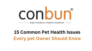 15 Common Pet Health Issues Every pet Owner Should Know