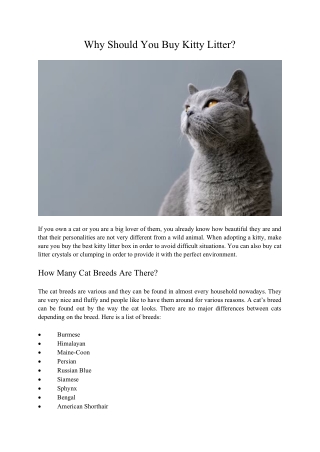 Why Should You Buy Kitty Litter?