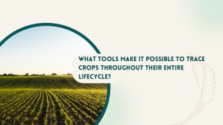 What Tools Make It Possible to Trace Crops Throughout Their Entire Lifecycle