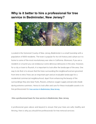 Why is it better to hire a professional for tree service in Bedminster, New Jersey