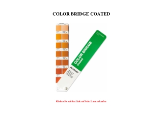 3186 COLOR BRIDGE COATED