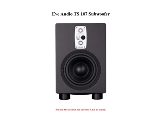0869 Eve Audio TS 107 Subwoofer