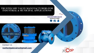 Trusted-NRV-Valve-Manufacturers-for-Industrial-and-Municipal-Applications.pdf (1)