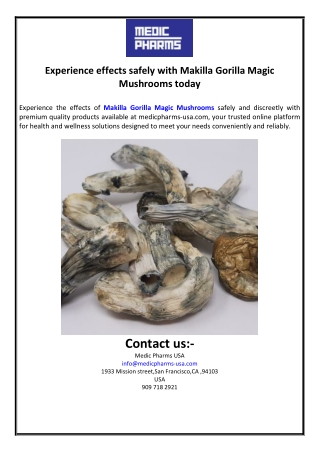 Experience effects safely with Makilla Gorilla Magic Mushrooms today