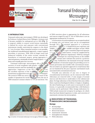 Transanal Endoscopic Microsurgery
