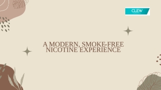 Your Complete Guide to Flavored Nicotine Pouches