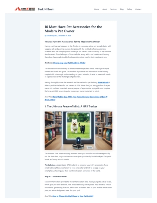 10 Must Have Pet Accessories for the Modern Pet Owner