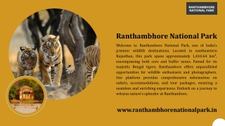Ranthambore Online safari Booking