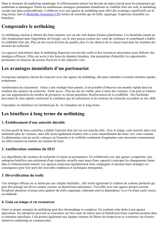 Les bénéfices à long terme d'un partenariat avec une agence de netlinking