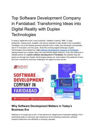 Software Development Company in Faridabad