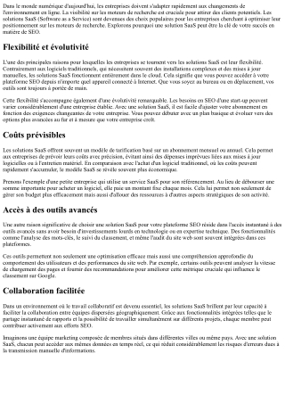 Pourquoi choisir une solution SaaS pour votre plateforme SEO ?