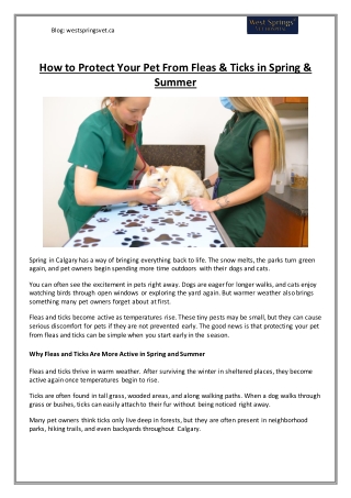 How to Protect Your Pet From Fleas & Ticks in Spring & Summer