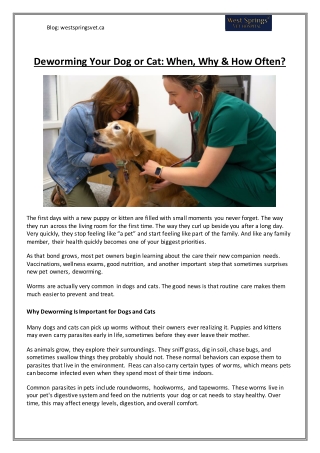Deworming Your Dog or Cat: When, Why & How Often?