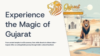 Explore Gujarat Tour Packages Discover Heritage, Spirituality & Scenic Wonders