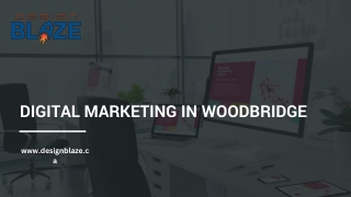 Digital Marketing in Woodbridge - www.designblaze.ca