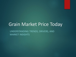 Why Tracking Grain Market Prices Matters Daily