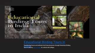 Educational-Birding-Tours-in-India