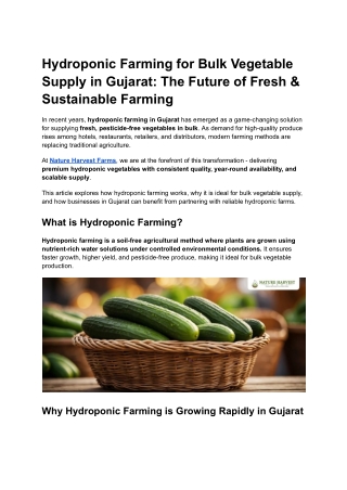Hydroponic Farming for Bulk Vegetable Supply in Gujarat_ The Future of Fresh & Sustainable Farming