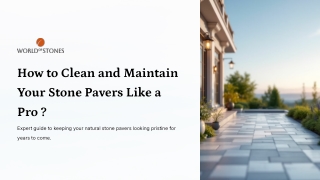How to Clean and Maintain Your Stone Pavers Like a Pro