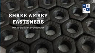High Tensile Nut Bolt Manufacturer – Shree Ambey Fasteners India